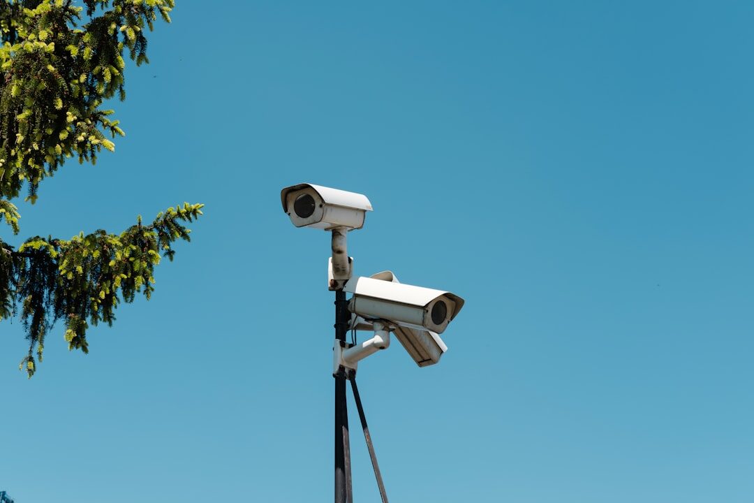 store security officer monitoring cameras